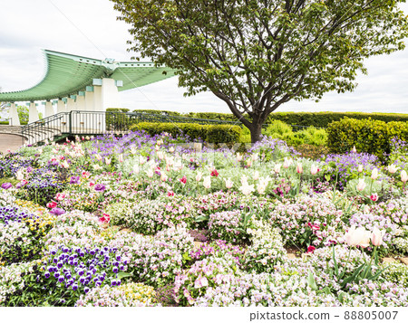 神奈川縣橫濱市海港景觀公園的春天 88805007