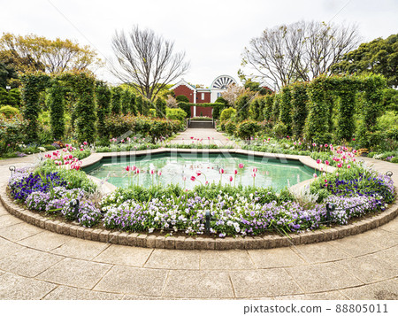 Spring in the Harbor View Park, Yokohama City, Kanagawa Prefecture 88805011