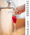 Strawberry hand 88805545