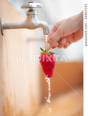 Strawberry hand Strawberry hand 88805545