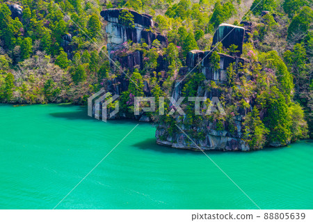 Spring's Enaki Gorge 88805639