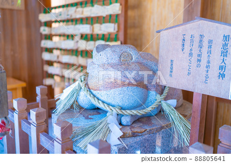 Frog Shrine Frog Shrine 88805641