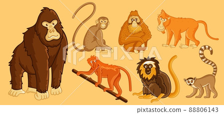 Different exotic monkey and tropical ape set.... - Stock Illustration  [88806143] - PIXTA