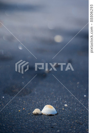 black sand beach on Nang Thong Beach in Khaolak 88806293