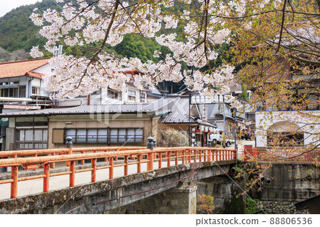 Togawa Onsen hot spring town in full bloom of cherry blossoms 88806536