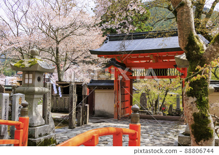盛開的大峰山龍泉寺 盛開的大峰山龍泉寺 88806744