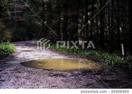 Year-round mountain road with puddle 2 88806869