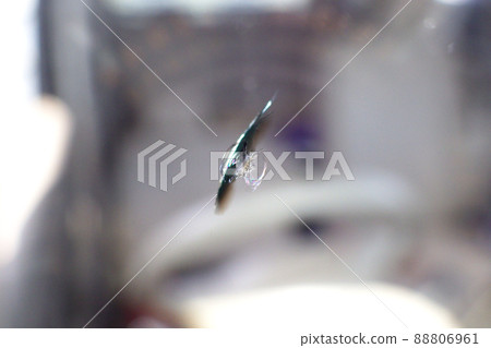 Scratches (cracks) created by stepping stones hitting the windshield of a car 88806961