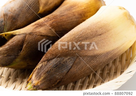 Bamboo shoots Bamboo shoots 88807092