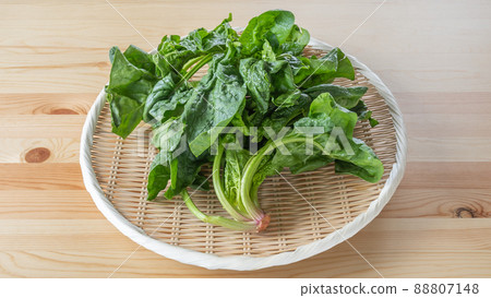 小雞菠菜 小雞菠菜 88807148