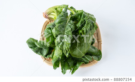 Chick Spinach Chick Spinach 88807154