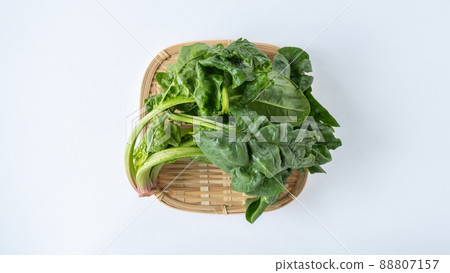 小雞菠菜 小雞菠菜 88807157