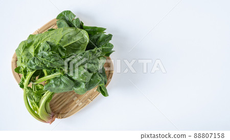 小雞菠菜 小雞菠菜 88807158