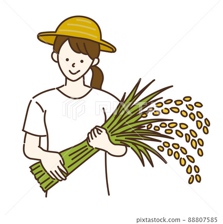 Agricultural girl Agricultural farmer Rice farmer Female illustration 88807585