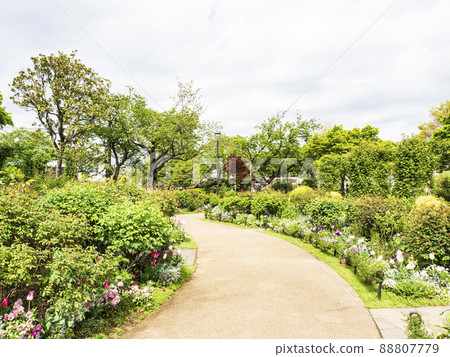 神奈川縣橫濱市海港景觀丘陵公園 88807779