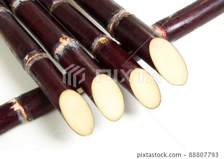 Sugar cane sweet potato Sugar cane sweet potato 88807793