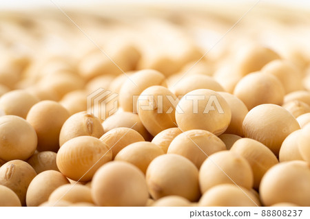大豆 88808237
