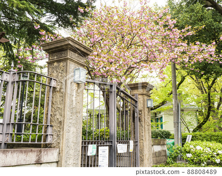 Yamate, Yokohama City, Kanagawa Prefecture 88808489
