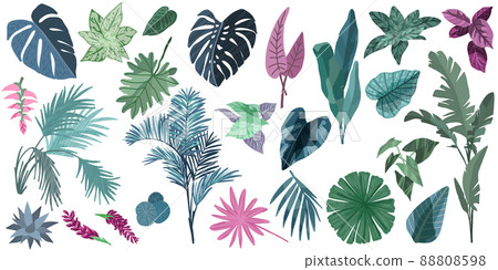 Tropical leaves collection, hand drawn vector set - Stock Illustration ...