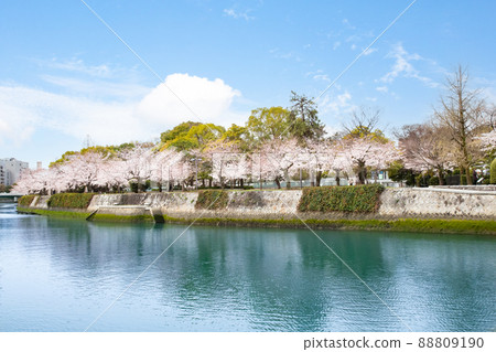 It is the scenery of the Peace Memorial Park in spring. The cherry blossoms are about to be in full bloom. Please have a bright atmosphere. Hiroshima Prefecture It is the scenery of the Peace Memorial Park in spring. The cherry blossoms are about to be in full bloom. Please have a bright atmosphere. Hiroshima Prefecture 88809190