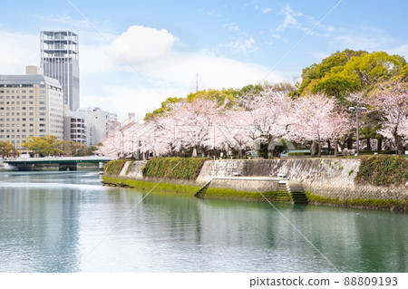 是和平紀念公園春天的景色。櫻花即將盛開。請有明亮的氣氛。廣島縣 是和平紀念公園春天的景色。櫻花即將盛開。請有明亮的氣氛。廣島縣 88809193