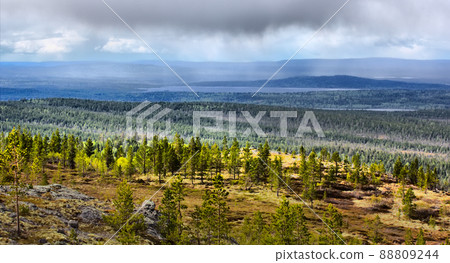 polar hills Scandinavian tundra in summer polar hills Scandinavian tundra in summer 88809244