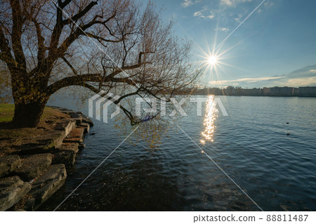 Winter landscape of lake Maggiore in Locarno, Switzerland Winter landscape of lake Maggiore in Locarno, Switzerland 88811487