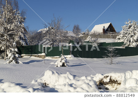 Winter landscape with pine in the countryside 88812549
