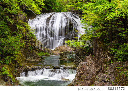 [Sekiyama Otaki, Yamagata Prefecture] Sekiyama Otaki with a wild atmosphere 88813572