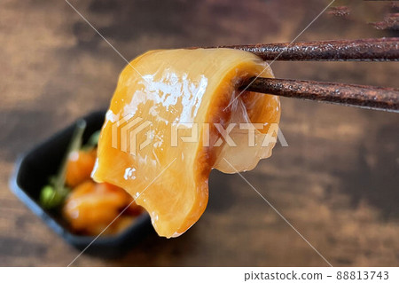 Ascidian sashimi_1 88813743