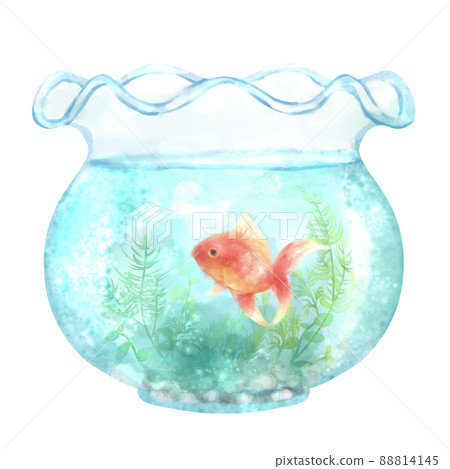 金魚在魚缸水彩插圖材料中涼爽地游泳 金魚在魚缸水彩插圖材料中涼爽地游泳 88814145