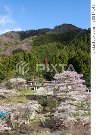 春天石滿溫泉 群馬縣 88814148