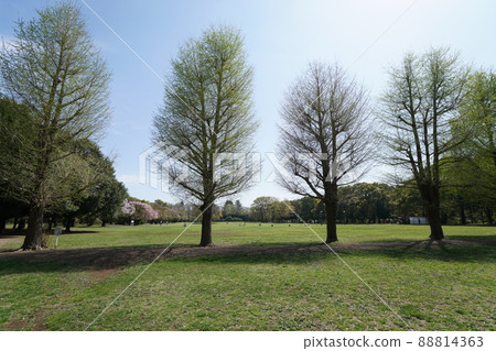 Park 3 88814363