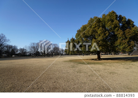 貝丘公園 9 88814393