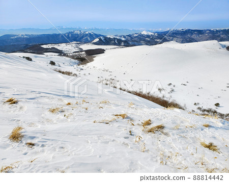 平緩的草地上的雪(長野縣霧峰市) 平緩的草地上的雪(長野縣霧峰市) 88814442