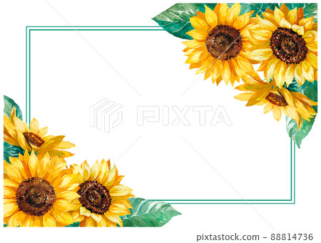 Sunflower watercolor frame 3 - Stock Illustration [88814736] - PIXTA