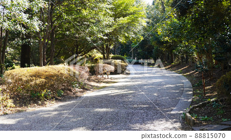 Fuji City Cityscape <28> (Promenade in Fuji City Central Park) Fuji City, Shizuoka Prefecture Fuji City Cityscape <28> (Promenade in Fuji City Central Park) Fuji City, Shizuoka Prefecture 88815070