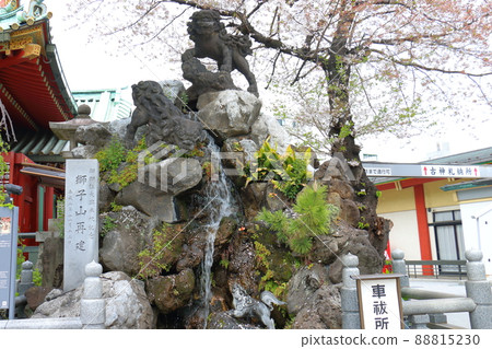 石獅子和櫻花騎在神田神社轄區的獅子山上 工匠石切藤兵衛外神田,東京都千代田區 石獅子和櫻花騎在神田神社轄區的獅子山上 工匠石切藤兵衛外神田,東京都千代田區 88815230