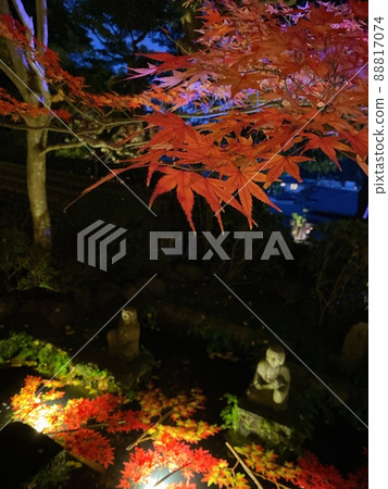 鎌倉秋葉的照明 鎌倉秋葉的照明 88817074