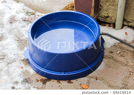 A heated dog bowl outside in winter 88819814