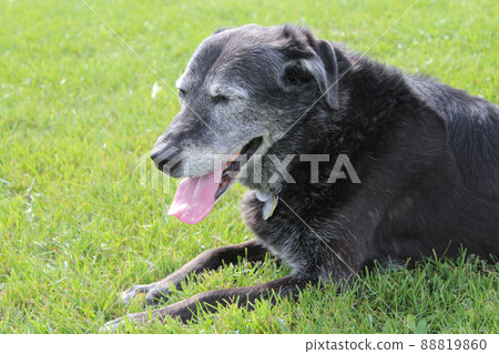 Just Need a Break 88819860