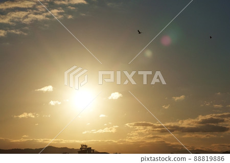 A refreshing morning sky in early winter when birds dance, the morning sun and golden clouds, 211113am A refreshing morning sky in early winter when birds dance, the morning sun and golden clouds, 211113am 88819886