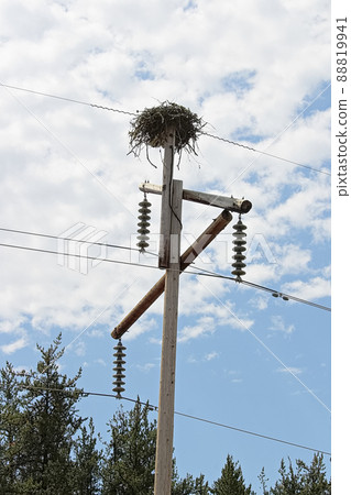 A large birdnest on a power pole A large birdnest on a power pole 88819941
