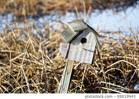 Dried reeds around a rustic birdhouse on a fence 88819943