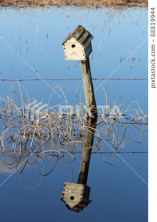 A birdhouse on a fence with its reflection in water A birdhouse on a fence with its reflection in water 88819944