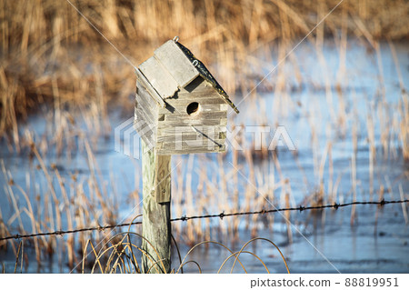 Closeup of a bird house Closeup of a bird house 88819951