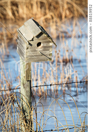 Bird house during spring while water is still frozen Bird house during spring while water is still frozen 88819952
