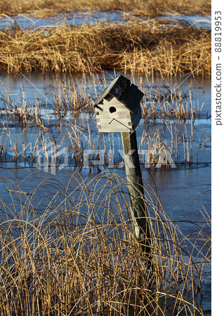 Bird House on a fence post Bird House on a fence post 88819953