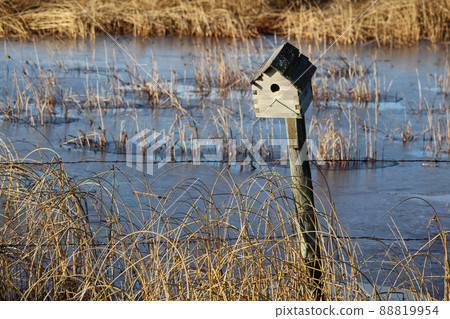 View of a bird house in a nature park View of a bird house in a nature park 88819954
