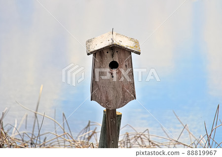 A birdhouse against a blue blurry background 88819967